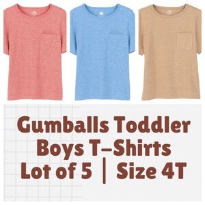 Lot of 5 Toddler Boys T-Shirts (Size 4T)